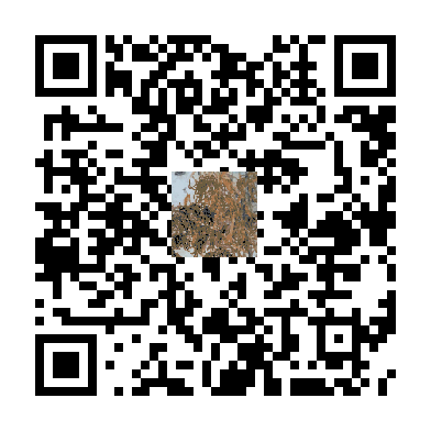 待添加