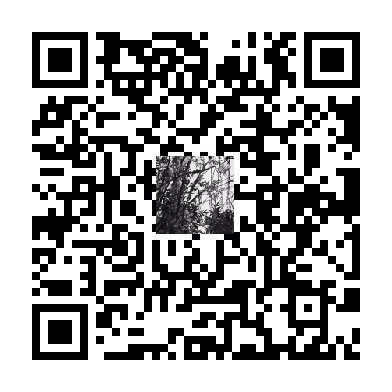 待添加