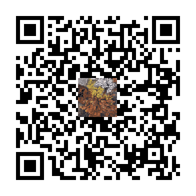 待添加
