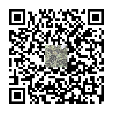 待添加