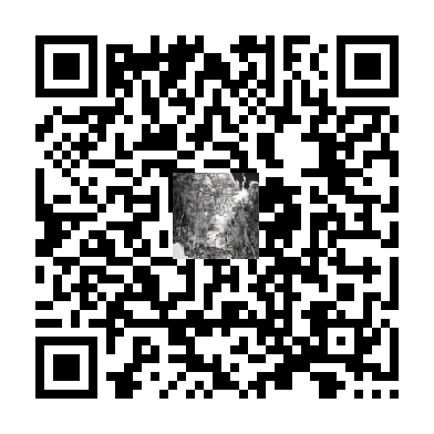 待添加