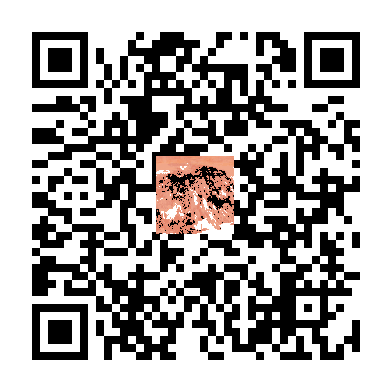 待添加